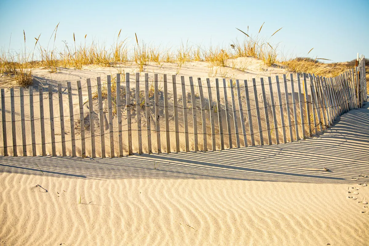 Dune grass and a weathered fence above an Atlantic beach